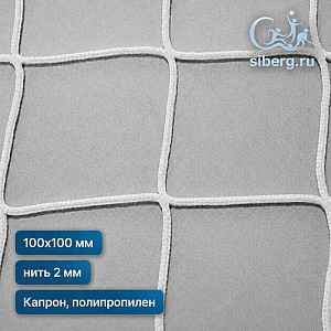 Защитная сетка на окна спортзала 100х100 2 белый (Капрон, Полипропилен)